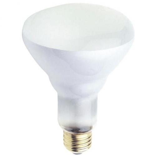 65 Watt BR30 Incandescent Flood Light Bulb